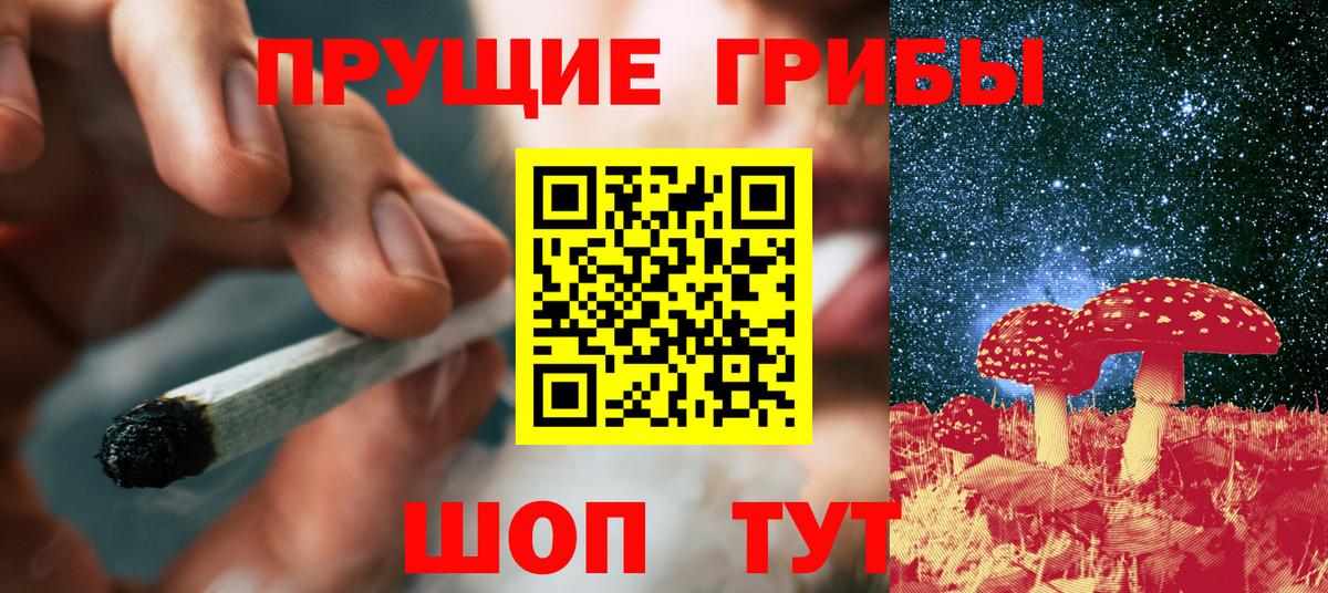Галлюциногенные грибы Magic Shrooms  цена наркотик  Вход с VPN  Медногорск  Галлюциногенные грибы Magic Shrooms 