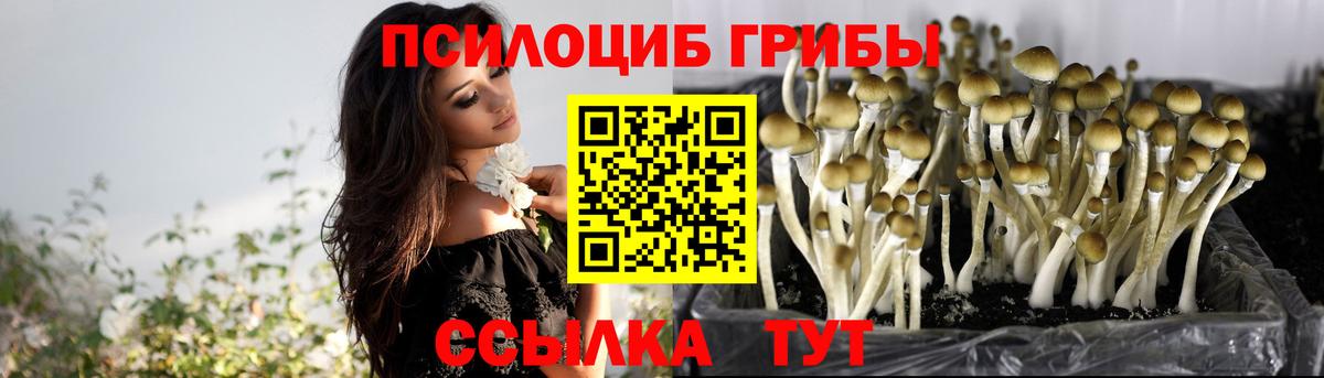 Галлюциногенные грибы GOLDEN TEACHER Медногорск